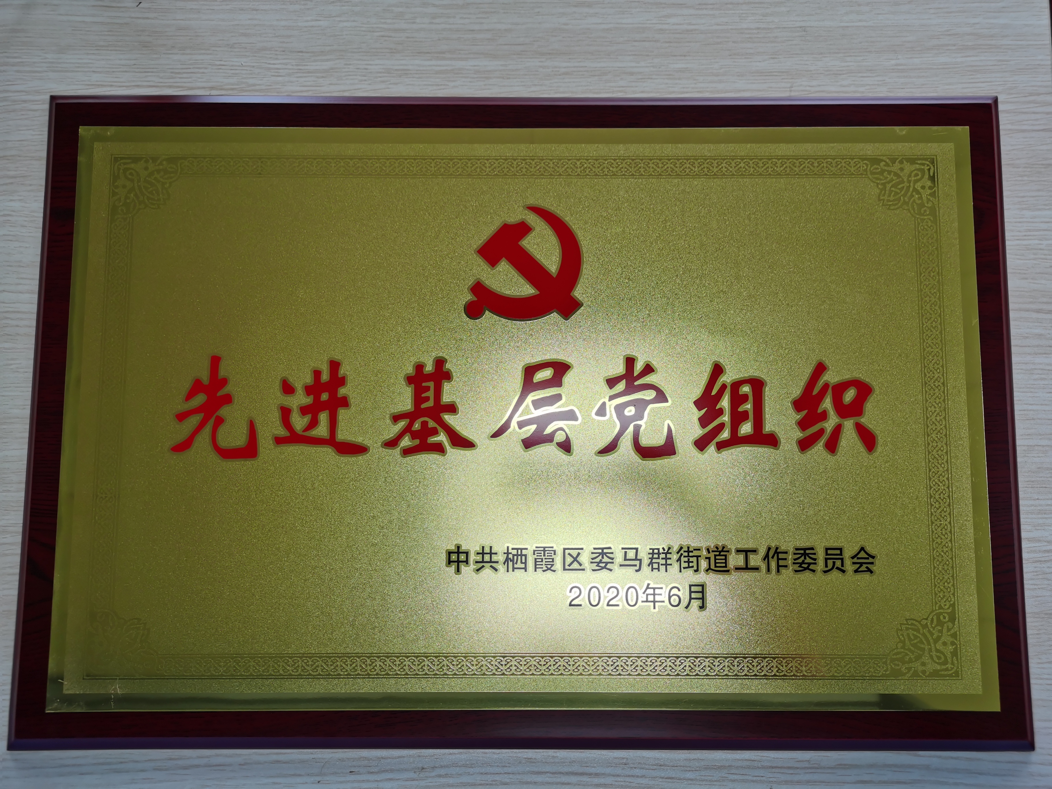喜訊 | 三寶科技黨總支部榮獲 “先進基層黨組織”稱號